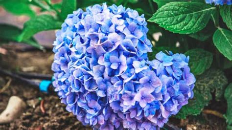 Image result for Stoichiometry Practice Problems Answer Key