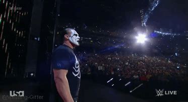 Wrestling Wrap Up: Seth Rollins to face Sting and John Cena at Night of ...