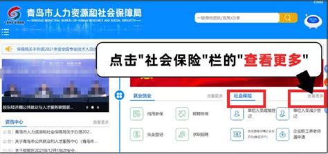 青岛人社app下载,青岛人社局官方查询个人社保app最新版 v2.5.2 - 浏览器家园