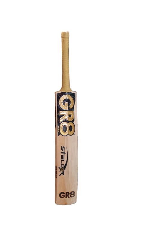 GR8 Bat Kashmir Willow International Edition Stellar – Made in Kashmir