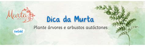 Vida sustentável: Dicas sobre reciclagem, reutilização e redução