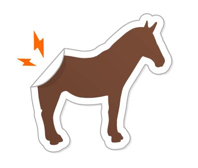 Custom stickers | Free delivery | Sticker Mule India