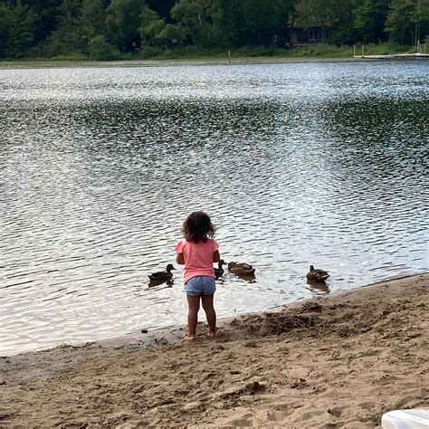 GOSHORN LAKE COTTAGE CONDOMINIUMS (Saugatuck) - Apartment Reviews ...