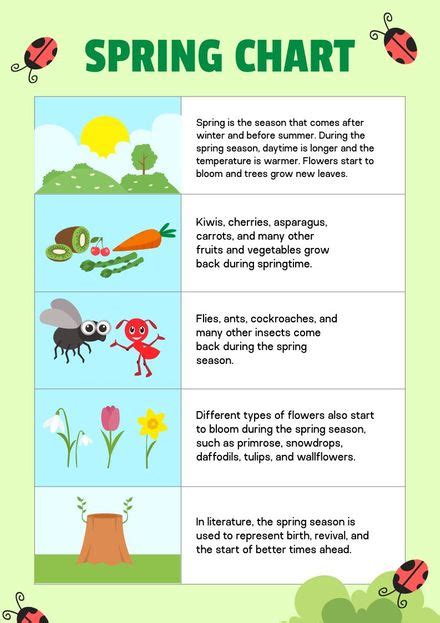 Image result for Martin Spring Chart