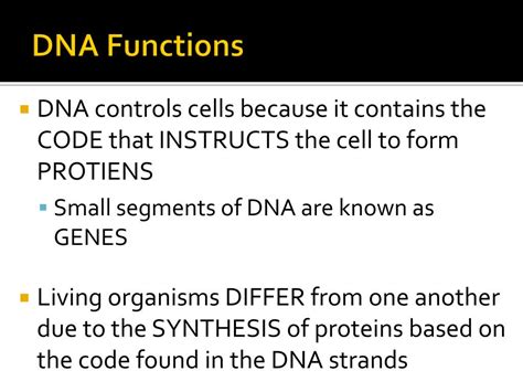 Image result for DNA Function