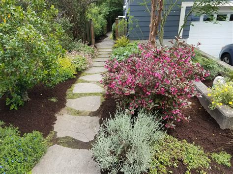 Best Arborist Companies in Seattle