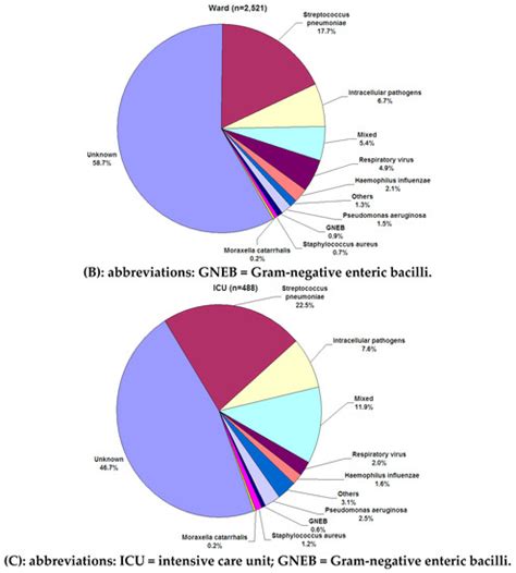 IJMS | Special Issue : Pneumonia: Pathogenesis, Diagnostics ...