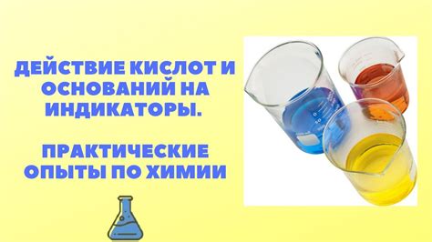 ДЕЙСТВИЕ КИСЛОТ И ОСНОВАНИЙ НА ИНДИКАТОРЫ. ПРАКТИЧЕСКИЕ ОПЫТЫ ПО ХИМИИ ...