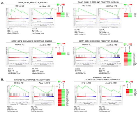 D-Allulose Ameliorates Dysregulated Macrophage Function and ...