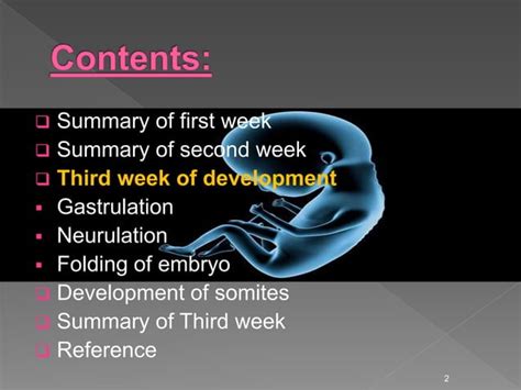 Image result for Third Week of Embryonic Development