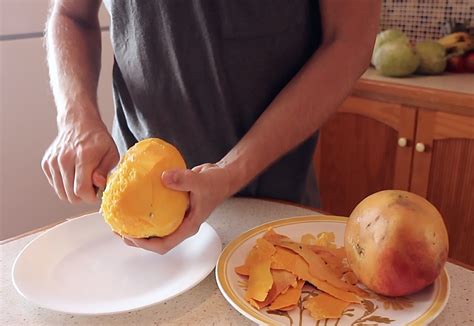 Image result for Mango Sprouting