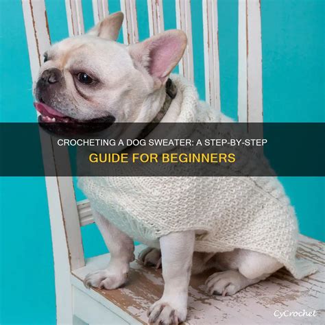 Image result for Dog Sweater Crochet Tutorial