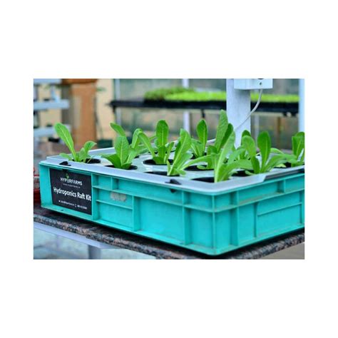 DIY Hydroponic Raft System – GardenGuru