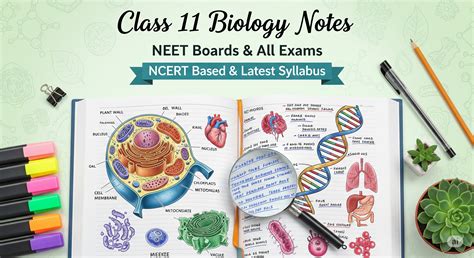 Class 11 Biology: Handwritten & Short Notes Pdf (NCERT & NEET Syllabus) - Physics Wallah Notes ...