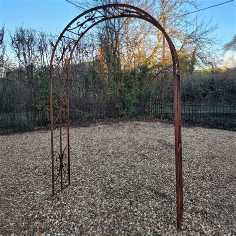 Buy Elegant jasmine garden arch - rust: Delivery by Waitrose Garden