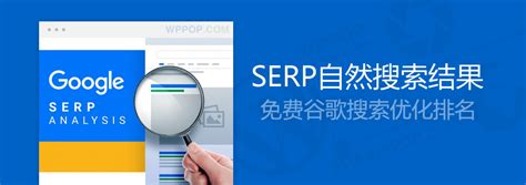 SERP - 获得Google自然搜索结果排名（SERP）教程 - WordPress外贸建站专家
