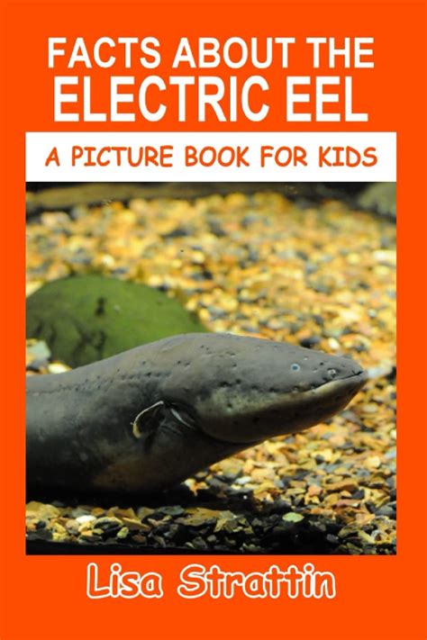 Buy Facts About the Electric Eel (A Picture Book For Kids) Online at ...