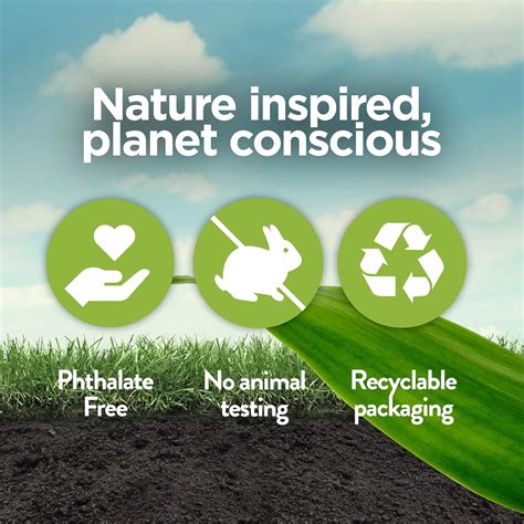 Buy Air Wick Botanica Plug in Scented Oil, 10 Refills, Caribbean ...