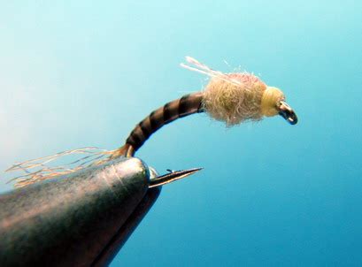 Image result for PMD Fly Pattern