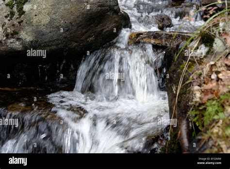 Autumnal Waterfall Tutorial 的图像结果