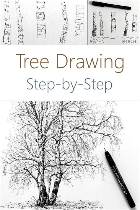 Image result for Tree Drawing Guide