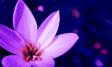 Skin Care Products,Skin Care Products Manufacturer,Hair Care Products ...