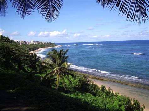 Image result for Krabi Python