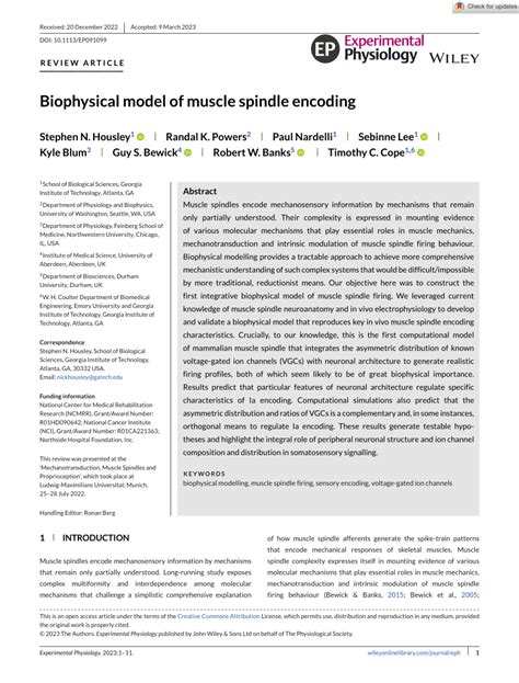 Image result for Muscle Spindle Rate Coding