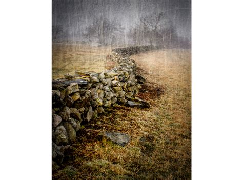 Image result for Tree Armor