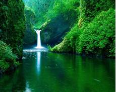Fresh Photo Hd by Lovely Fresh Nature Background Wallpaper Cool Fresh Photo Hd