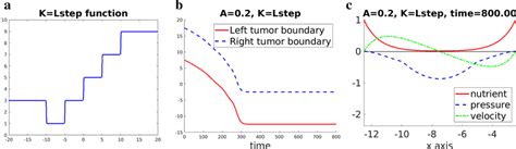 Image result for Step Class L Step