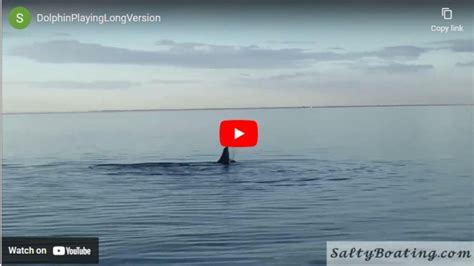 Image result for Boat Docking Fails Compilation