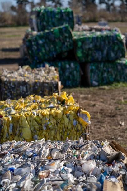 Image result for Compacted Garbage Texture