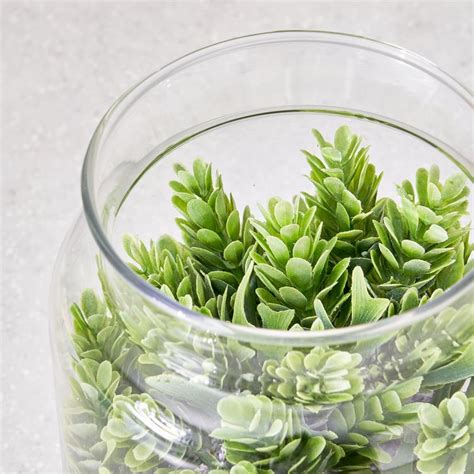 Buy Corsica Tricia Artificial Succulent in Glass Jar from Corsica by ...