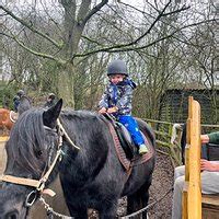 Bocketts Farm Park (Leatherhead) - All You Need to Know BEFORE You Go