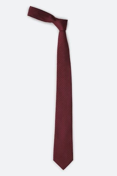 Buy Men Maroon Print Tie Online - 710144 | Peter England