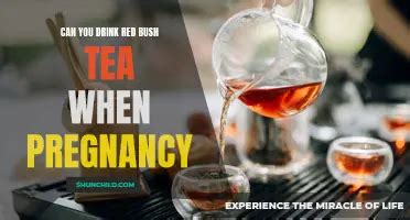 Is It Safe To Drink Red Bull During Pregnancy? Exploring The Risks ...