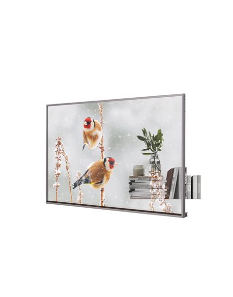 Image result for LG Clear Plastic Bottom 55-Inch Monitor