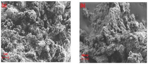 High-Resolution SEM and EDX Characterization of Deposits Formed by CH4 ...