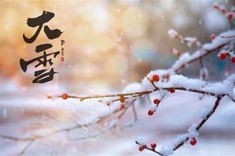 一场初雪 许你冬日的诗和远方 - 公司新闻 - 龙冈旅游官网
