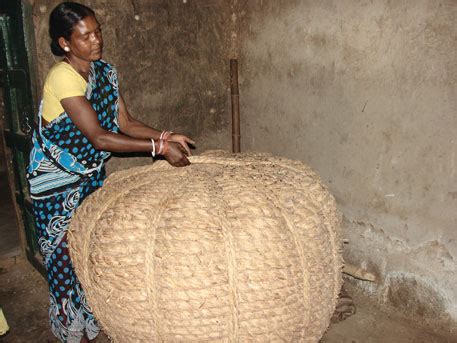 Seed Storage :: Structures