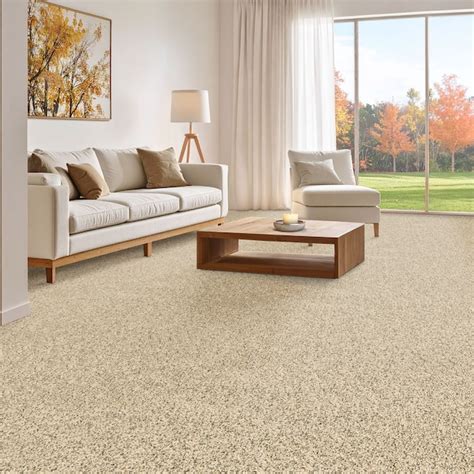 STAINMASTER PetProtect with LeakDefense Brave Bark III Stoney Ridge ...