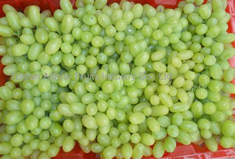 new crop seedless green grape,China Aldiyar price supplier - 21food