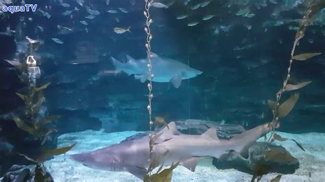 Image result for Test Cases for Python