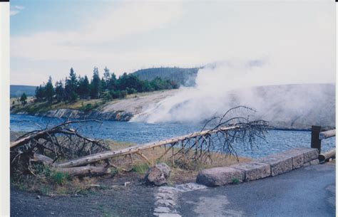 Yellowstone Stream Sverige