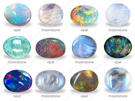 Moonstone vs Opal: What's the Difference? | Diamond Buzz