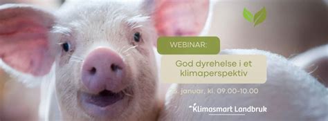 Webinar: God dyrehelse i et klimaperspektiv, Online event, Oslo, Norway ...