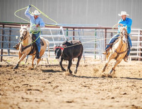Image result for Team Roping.com