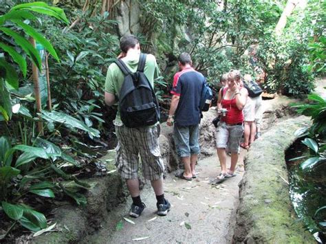 ZooLex Image - Tidal pools