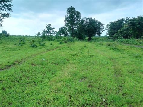 51 Guntha Agricultural/Farm Land for Sale in Murbad, Thane - by Shree ...